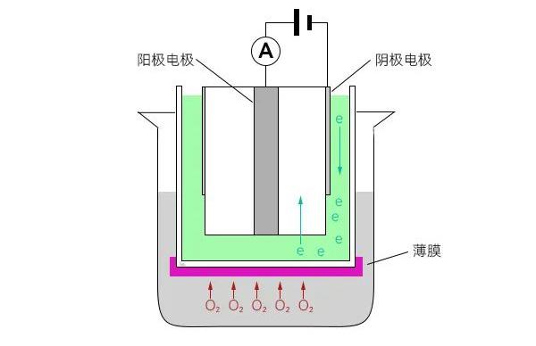 DO电极原理 DO电极原理