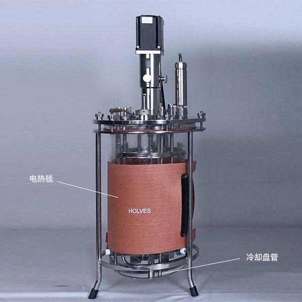 博天堂918平台在线(HOLVES)实验发酵罐 博天堂918平台在线(HOLVES)实验发酵罐